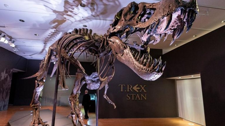 Devasa Dinozor İskeleti Açık Arttırmada 31.8 Milyon Dolara Satıldı