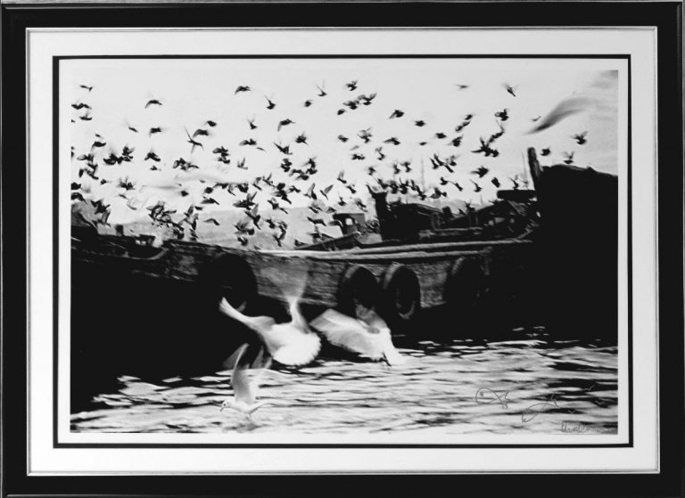 ARA GÜLER Fotoğraf Müzayedesi